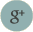 Google+ logo